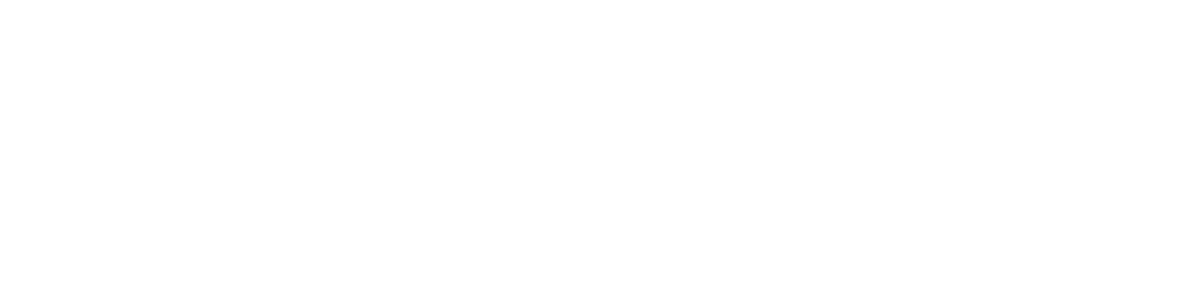P1 Investment Services